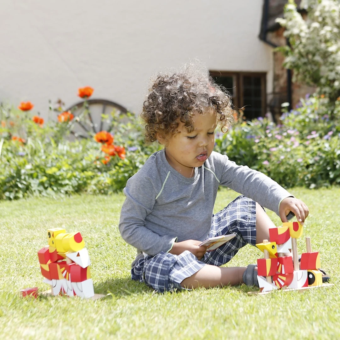 Classic World Lion Blocks - Image 3