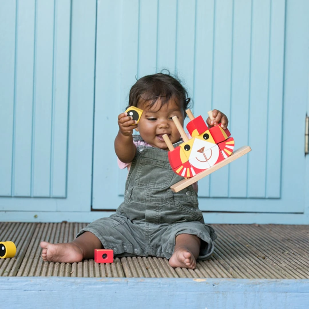 Classic World Lion Blocks - Image 2