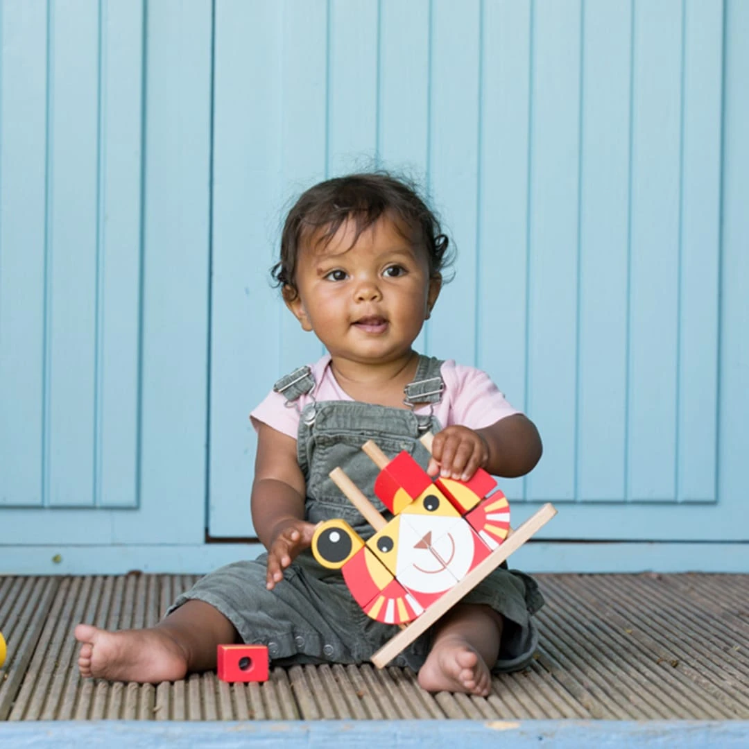 Classic World Lion Blocks - Image 4