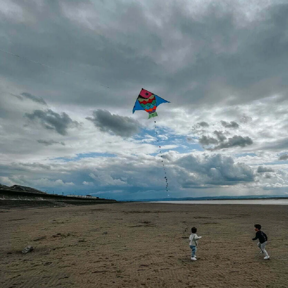 Vilac Giant Fish Kite - Image 2